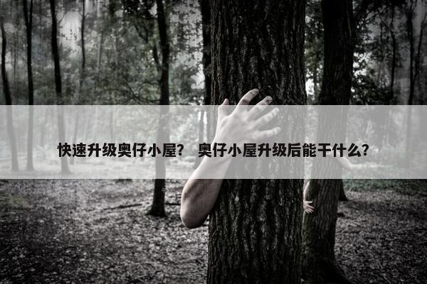 快速升级奥仔小屋？ 奥仔小屋升级后能干什么？
