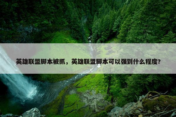 英雄联盟脚本被抓，英雄联盟脚本可以强到什么程度?