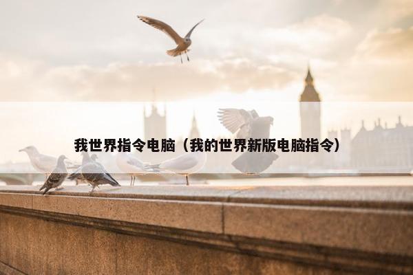 我世界指令电脑（我的世界新版电脑指令）