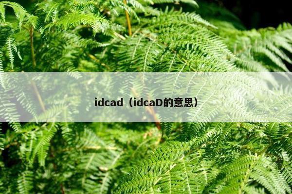 idcad（idcaD的意思）