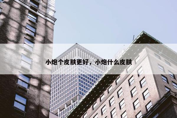 小炮个皮肤更好，小炮什么皮肤