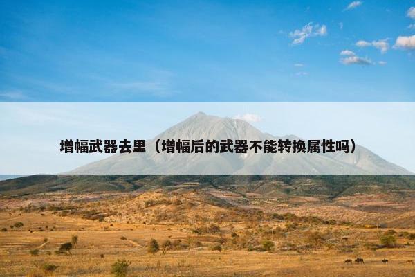 增幅武器去里（增幅后的武器不能转换属性吗）
