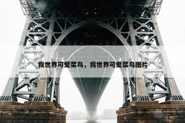 我世界可爱菜鸟，我世界可爱菜鸟图片