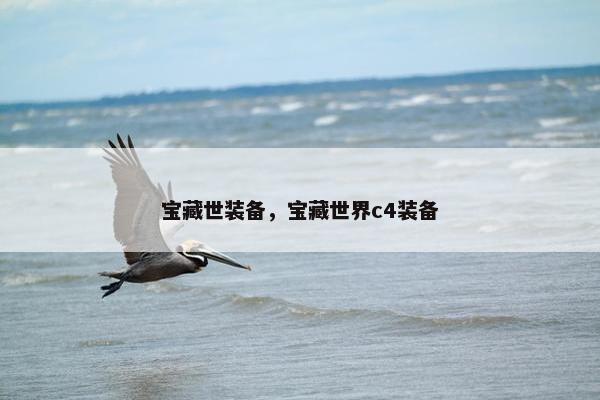 宝藏世装备，宝藏世界c4装备