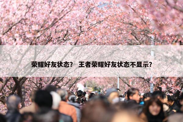 荣耀好友状态？ 王者荣耀好友状态不显示？