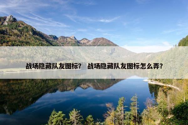 战场隐藏队友图标？ 战场隐藏队友图标怎么弄？
