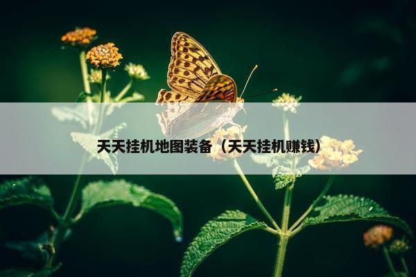 天天挂机地图装备（天天挂机赚钱）