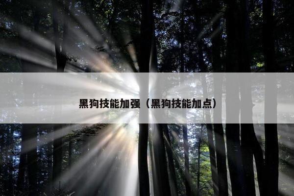 黑狗技能加强（黑狗技能加点）