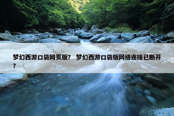 梦幻西游口袋网页版？ 梦幻西游口袋版网络连接已断开？
