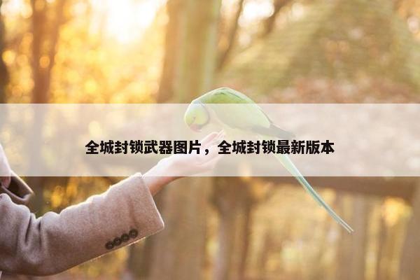 全城封锁武器图片，全城封锁最新版本