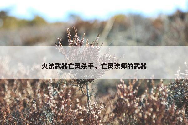 火法武器亡灵杀手，亡灵法师的武器