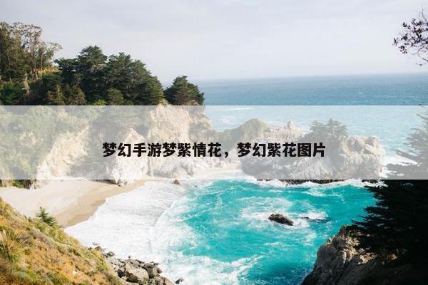 梦幻手游梦紫情花，梦幻紫花图片