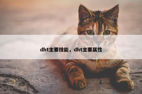 dht主要技能，dht主要属性