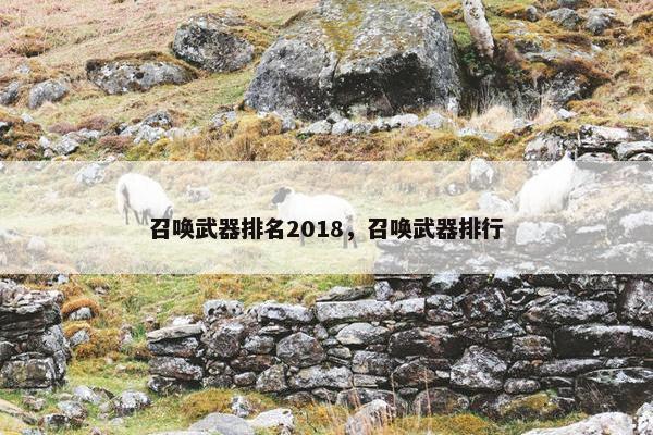 召唤武器排名2018，召唤武器排行