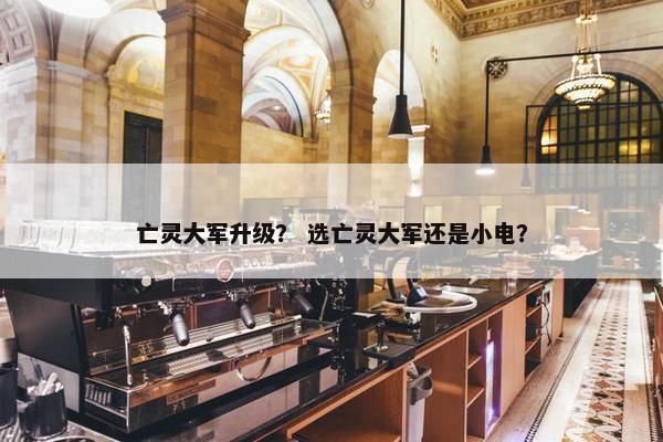 亡灵大军升级？ 选亡灵大军还是小电？