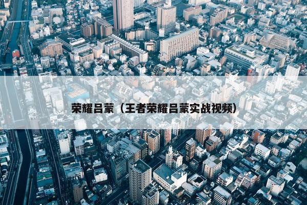 荣耀吕蒙（王者荣耀吕蒙实战视频）