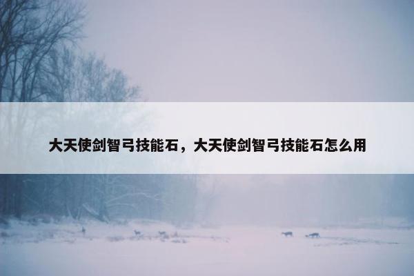 大天使剑智弓技能石，大天使剑智弓技能石怎么用