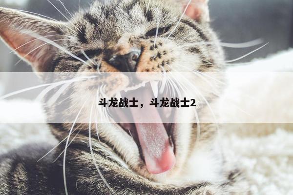 斗龙战士，斗龙战士2