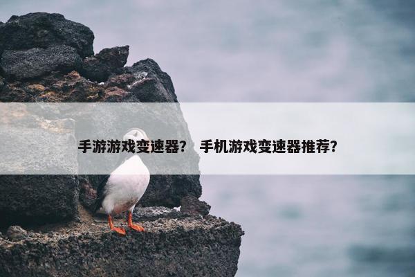 手游游戏变速器？ 手机游戏变速器推荐？