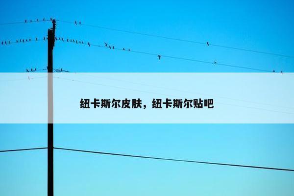 纽卡斯尔皮肤，纽卡斯尔贴吧