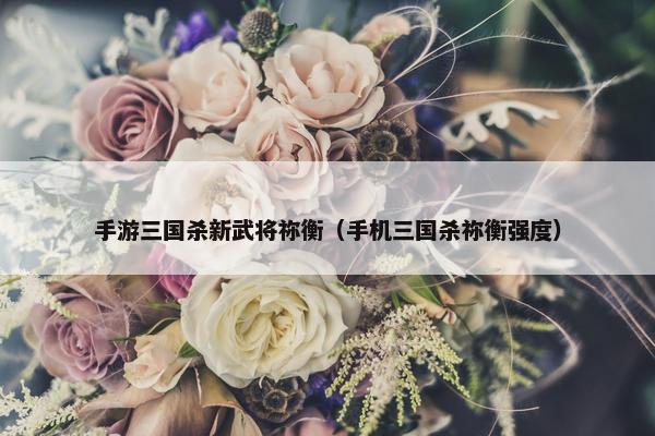 手游三国杀新武将祢衡（手机三国杀祢衡强度）