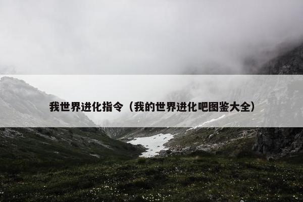 我世界进化指令（我的世界进化吧图鉴大全）