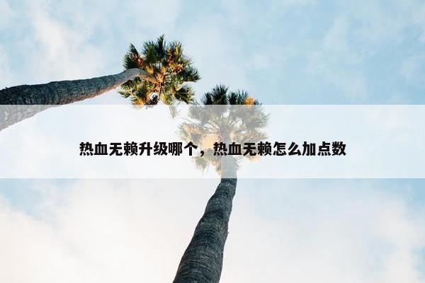 热血无赖升级哪个，热血无赖怎么加点数