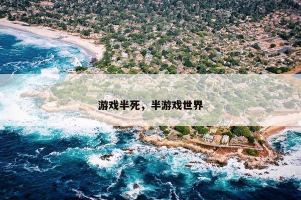 游戏半死，半游戏世界