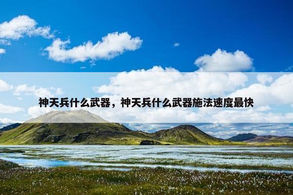 神天兵什么武器，神天兵什么武器施法速度最快