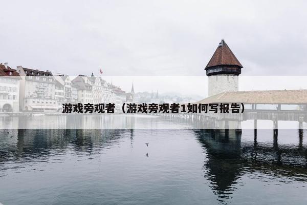 游戏旁观者（游戏旁观者1如何写报告）