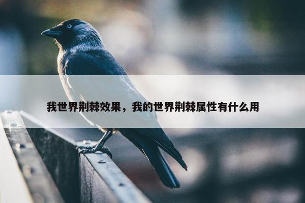 我世界荆棘效果，我的世界荆棘属性有什么用