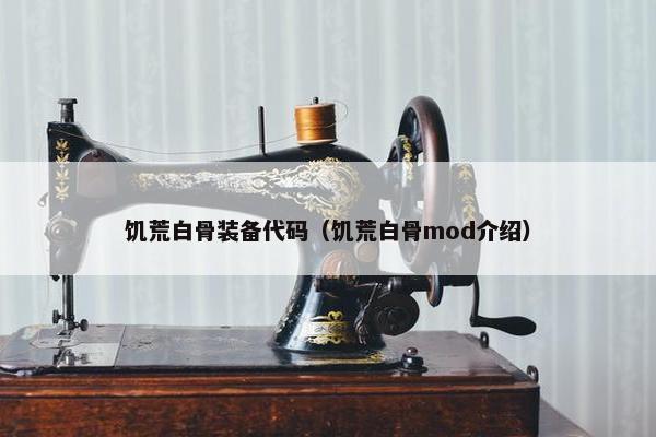 饥荒白骨装备代码（饥荒白骨mod介绍）