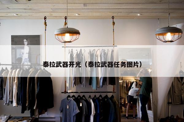 泰拉武器开光（泰拉武器任务图片）