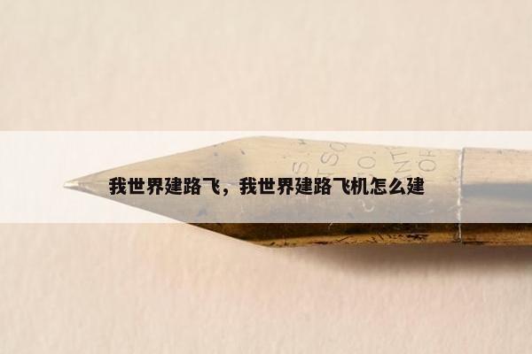 我世界建路飞，我世界建路飞机怎么建