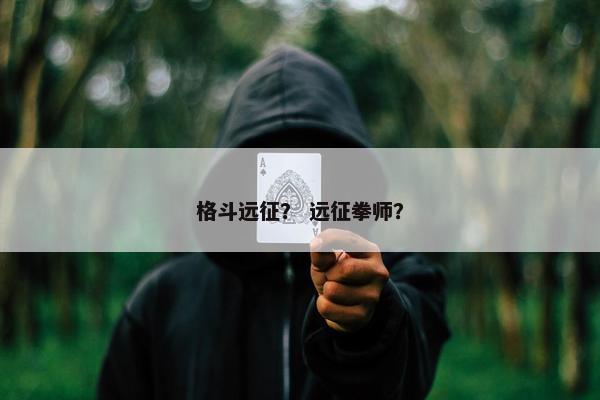 格斗远征？ 远征拳师？