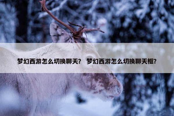 梦幻西游怎么切换聊天？ 梦幻西游怎么切换聊天框？