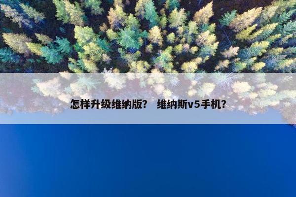 怎样升级维纳版？ 维纳斯v5手机？