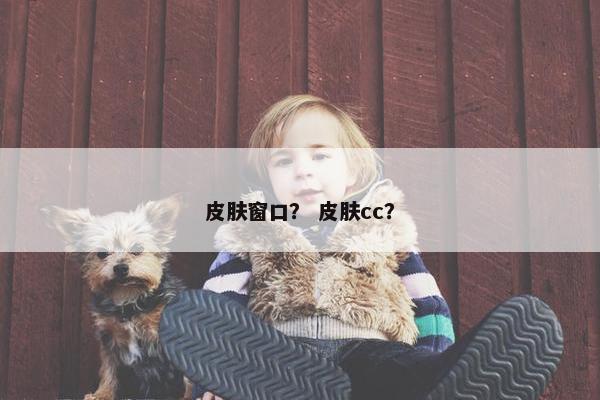 皮肤窗口？ 皮肤cc？