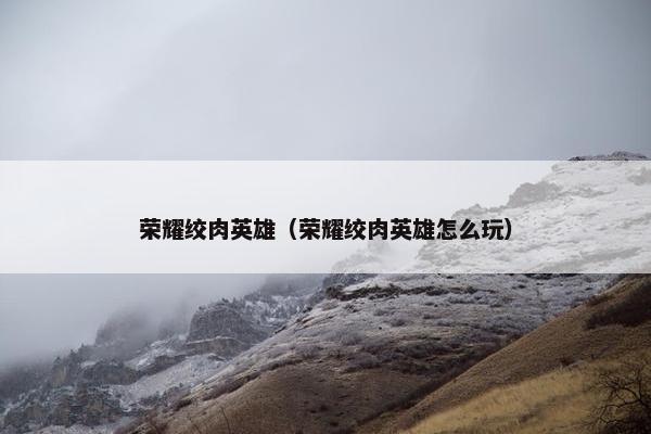 荣耀绞肉英雄（荣耀绞肉英雄怎么玩）