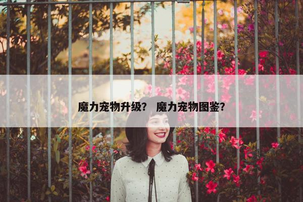魔力宠物升级？ 魔力宠物图鉴？
