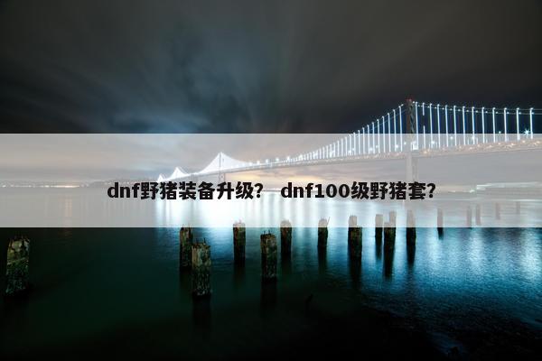 dnf野猪装备升级？ dnf100级野猪套？