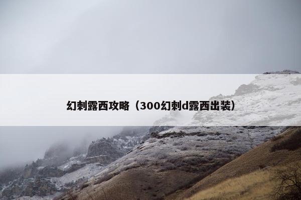 幻刺露西攻略（300幻刺d露西出装）
