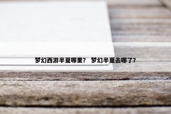 梦幻西游半夏哪里？ 梦幻半夏去哪了？