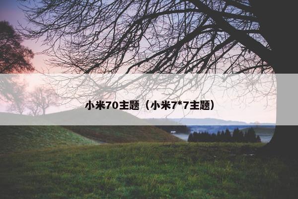 小米70主题（小米7*7主题）