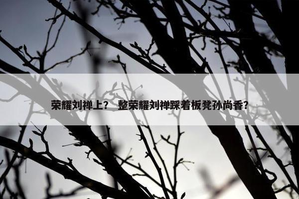 荣耀刘禅上？ 整荣耀刘禅踩着板凳孙尚香？