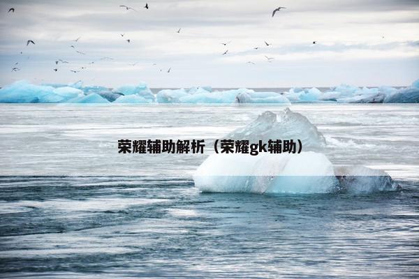 荣耀辅助解析（荣耀gk辅助）