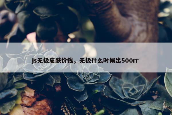 js无极皮肤价钱，无极什么时候出500rr