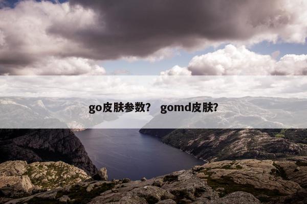 go皮肤参数？ gomd皮肤？