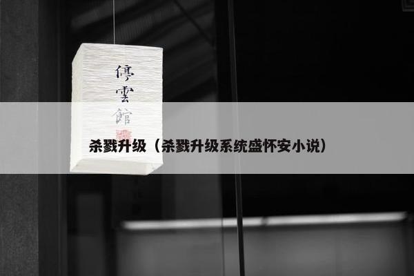 杀戮升级（杀戮升级系统盛怀安小说）