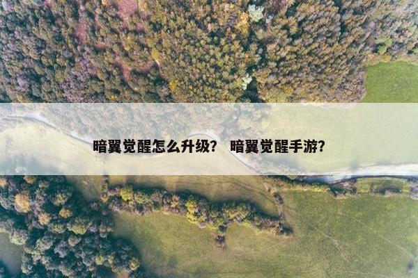 暗翼觉醒怎么升级？ 暗翼觉醒手游？